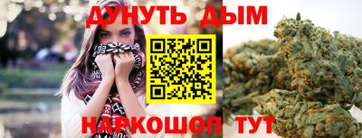 спиды Обь