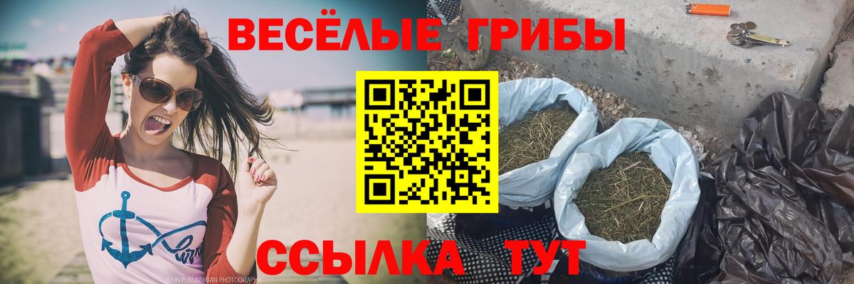 Псилоцибиновые грибы мицелий  Псилоцибиновые грибы Psilocybine cubensis  Вход с VPN  Северск 