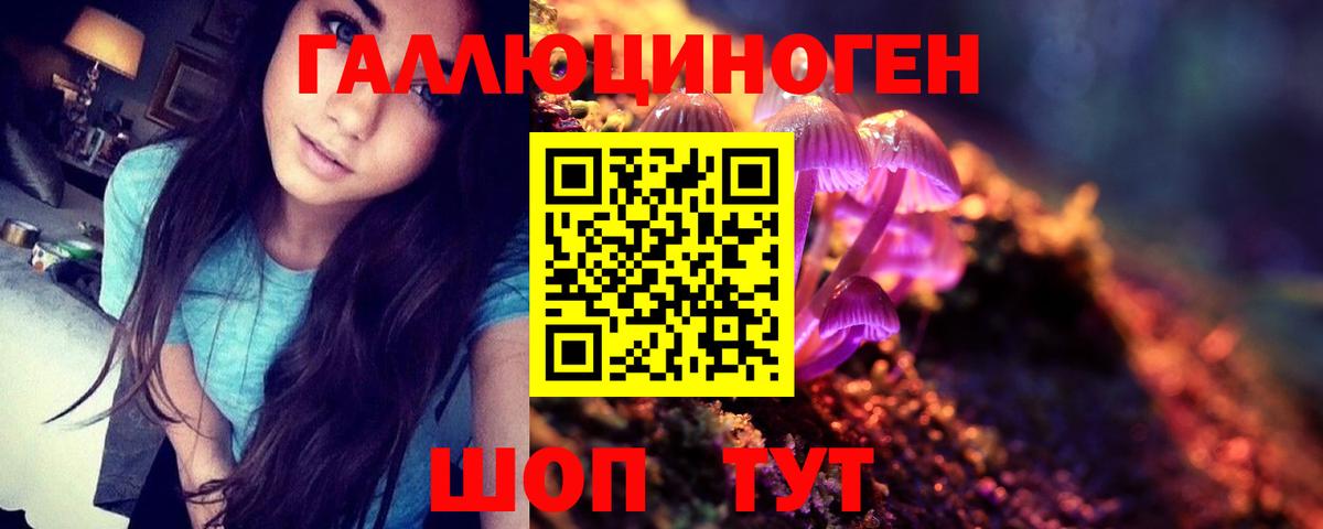Галлюциногенные грибы Cubensis Северск